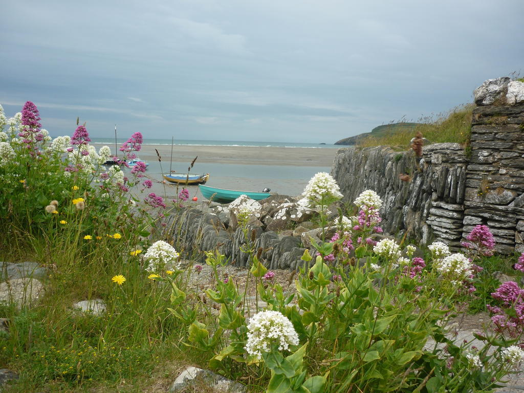 Tabor House B&B Fishguard Εξωτερικό φωτογραφία