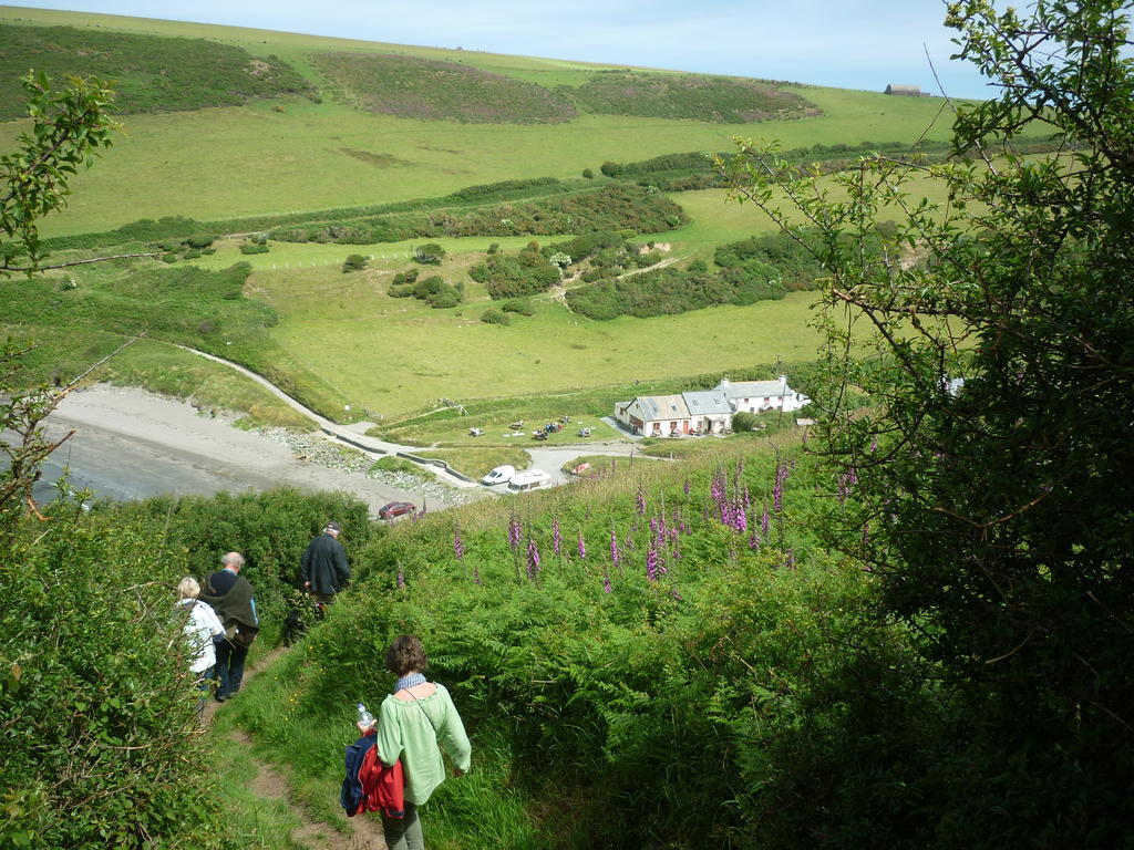 Tabor House B&B Fishguard Εξωτερικό φωτογραφία